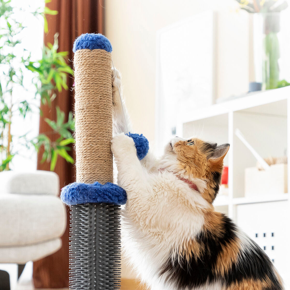 InnovaGoods® Kratzstangen-Massagepfosten mit Ball für Katzen Miausage - AWK Flagship