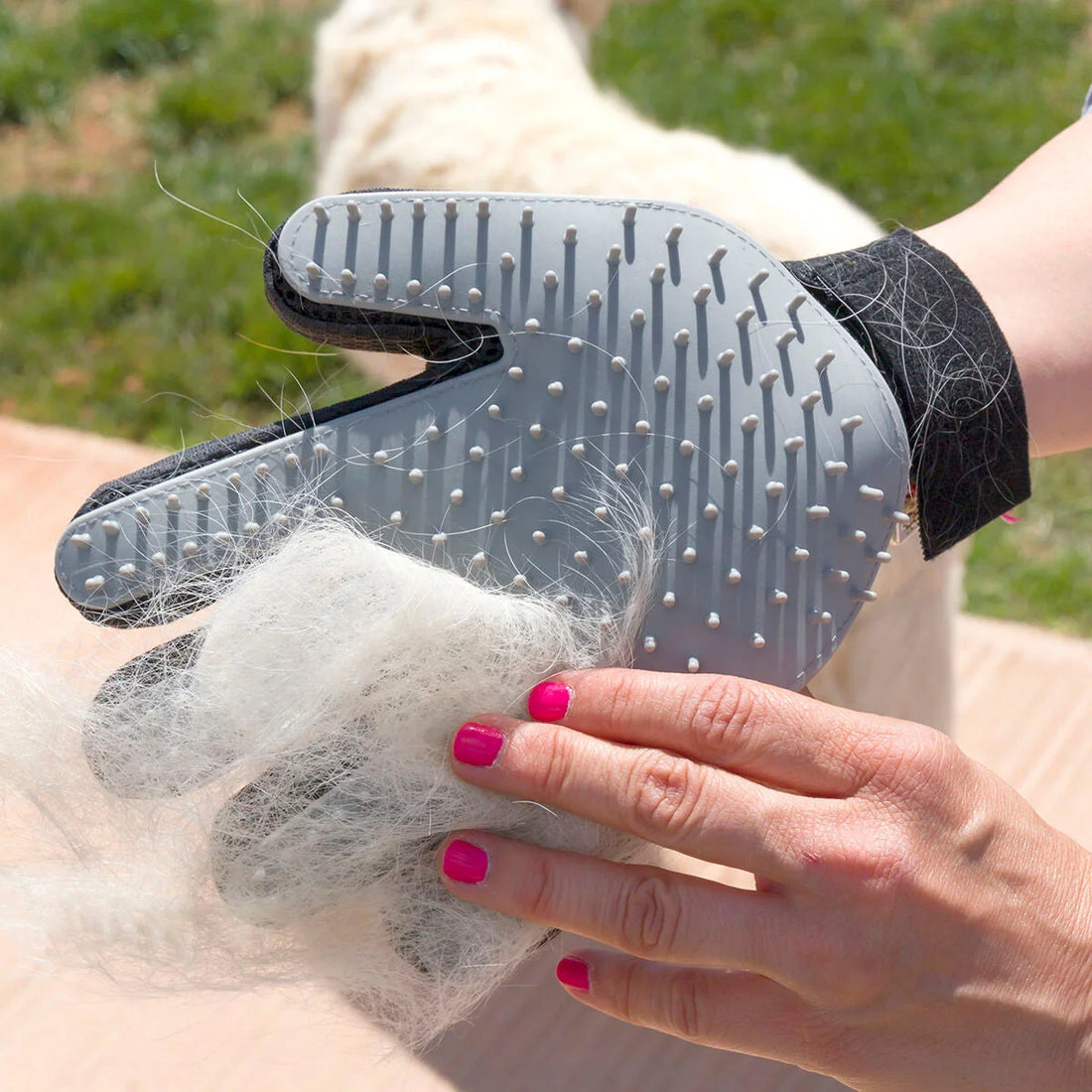 Bürsthandschuh für Haustiere Relpet – Detailansicht 1