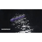 Cassini Analvibrator Schwarz – Wasserbeständig & Aufladbar - Erotik Shop