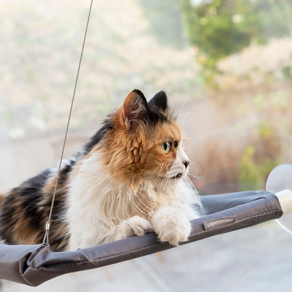 Catlax Hängematte für Katzen – Modernes Design