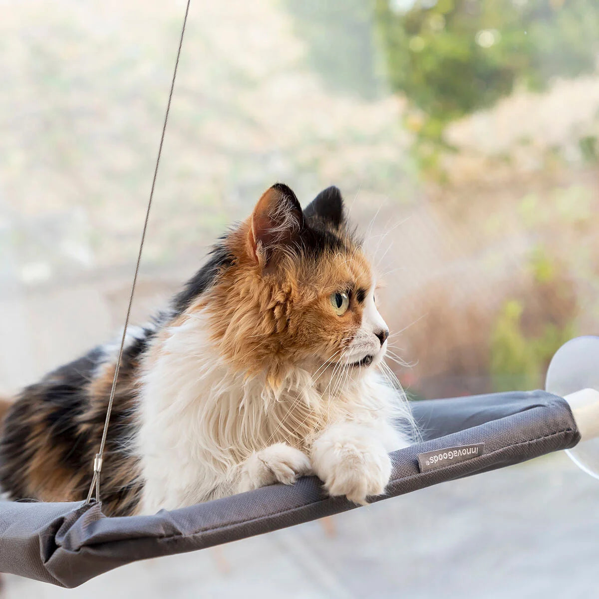 Hängematte für Katzen Catlax – Produktansicht 5