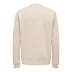 Herren Sweater Onsdawson Reg Crew Weiß