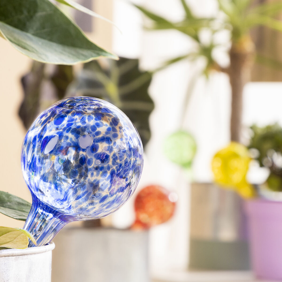 InnovaGoods Bewässerungsballons 4 Stück für Pflanzen