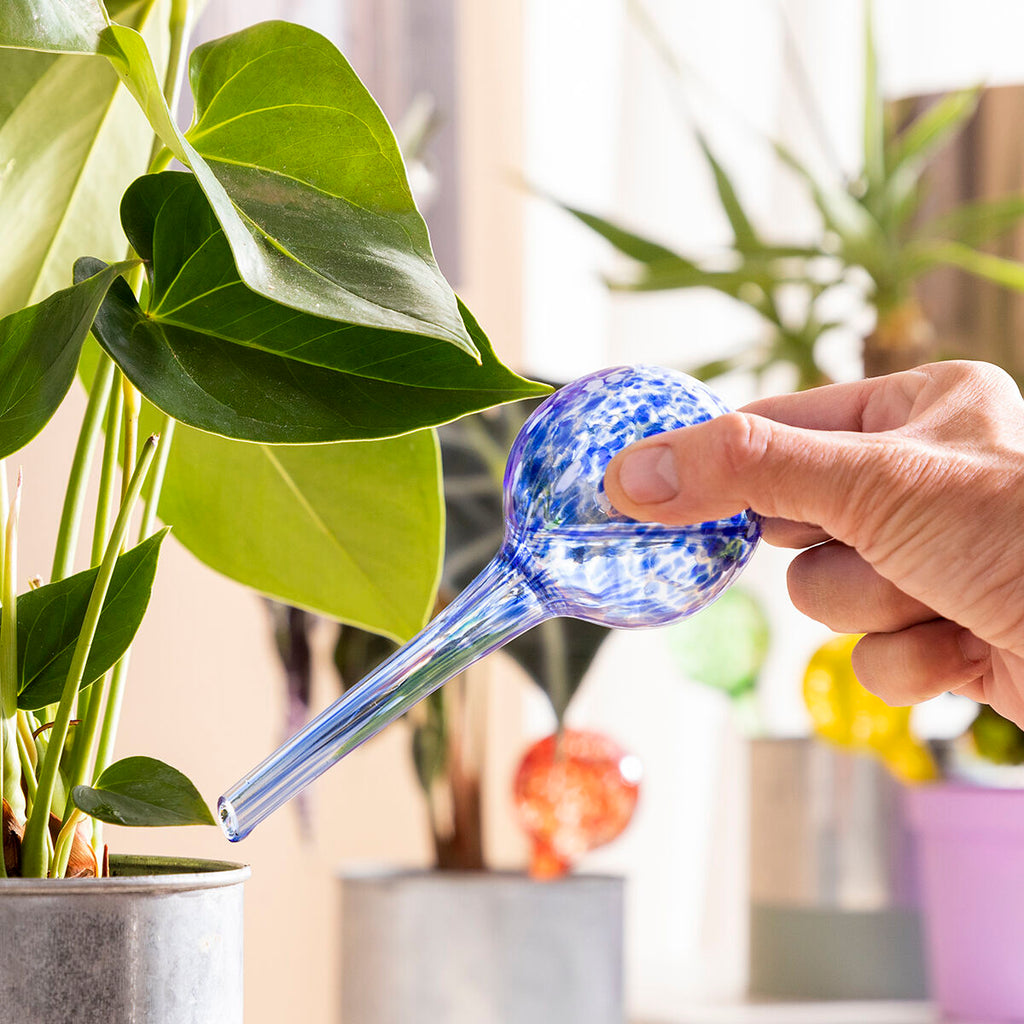 InnovaGoods Bewässerungsballons 4 Stück für Pflanzen