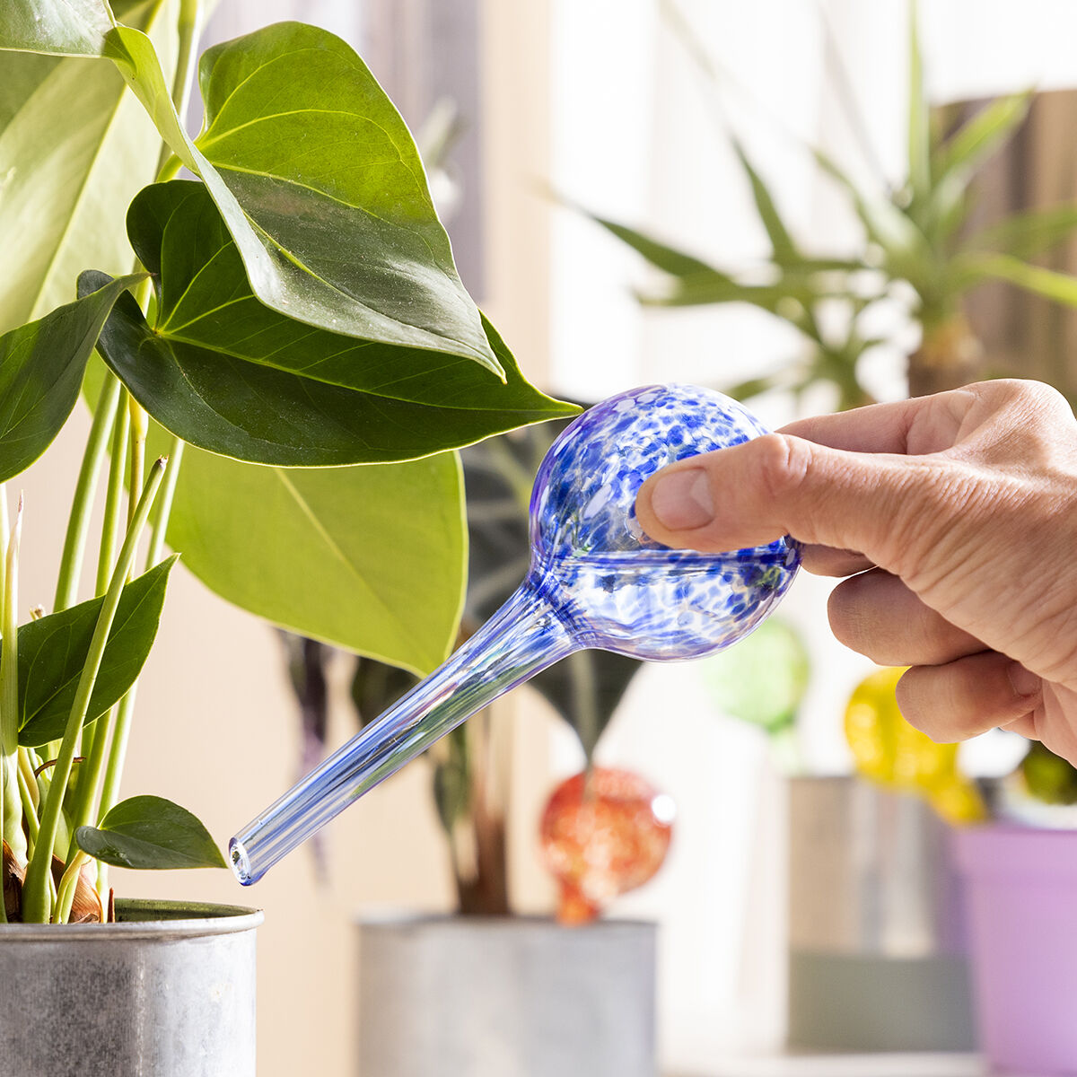 InnovaGoods Bewässerungsballons 4 Stück für Pflanzen