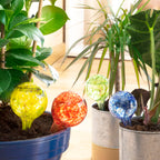 InnovaGoods Bewässerungsballons 4 Stück für Pflanzen