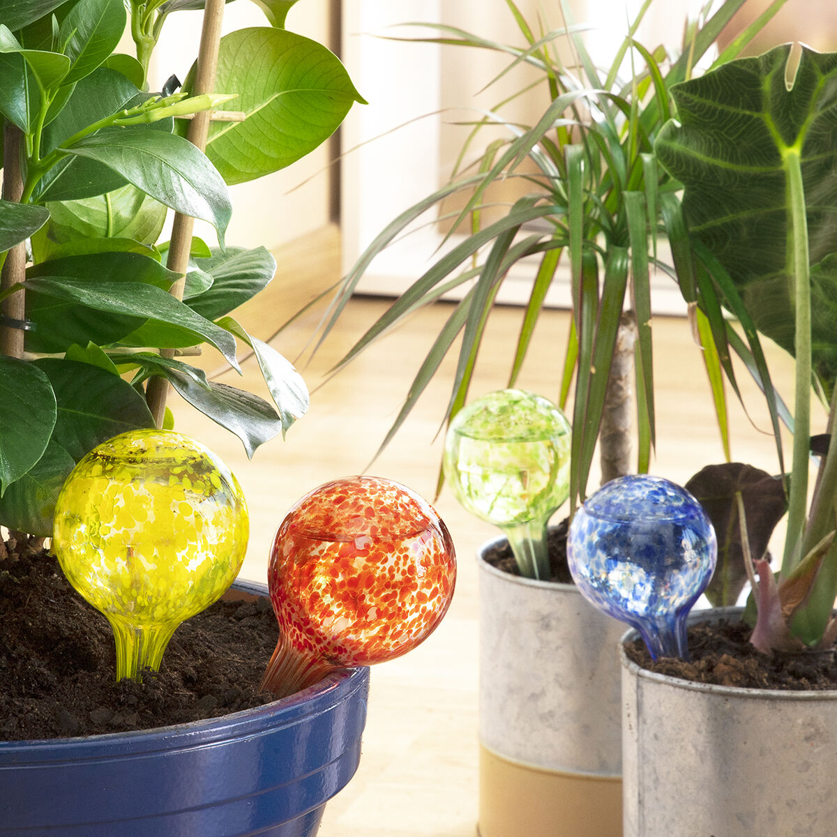 InnovaGoods Bewässerungsballons 4 Stück für Pflanzen