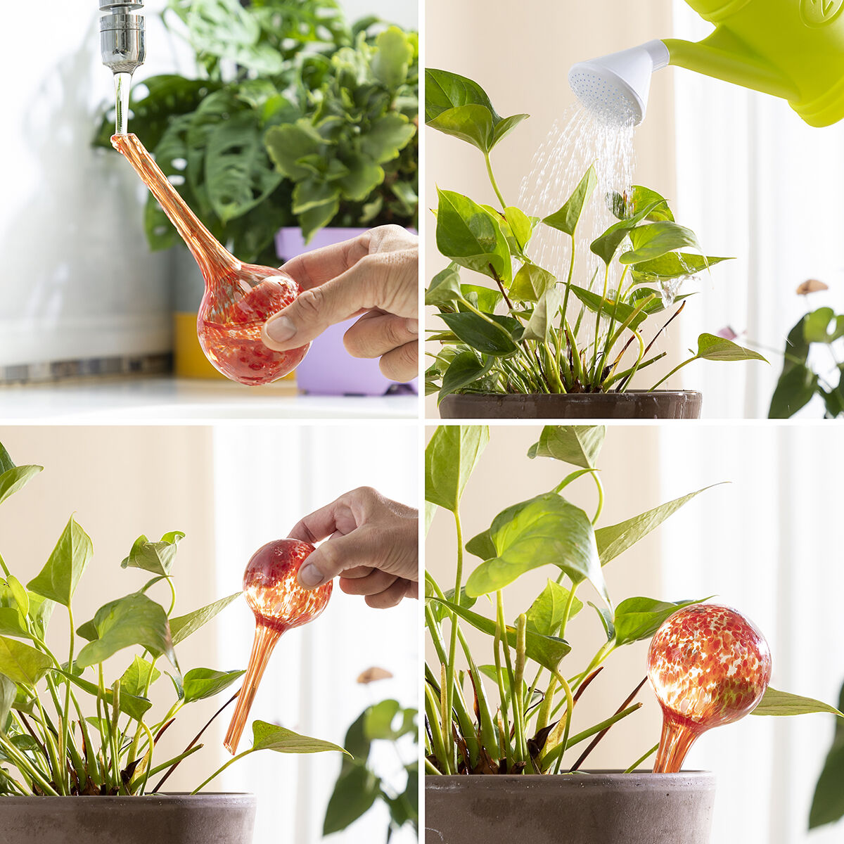 InnovaGoods Bewässerungsballons 4 Stück für Pflanzen