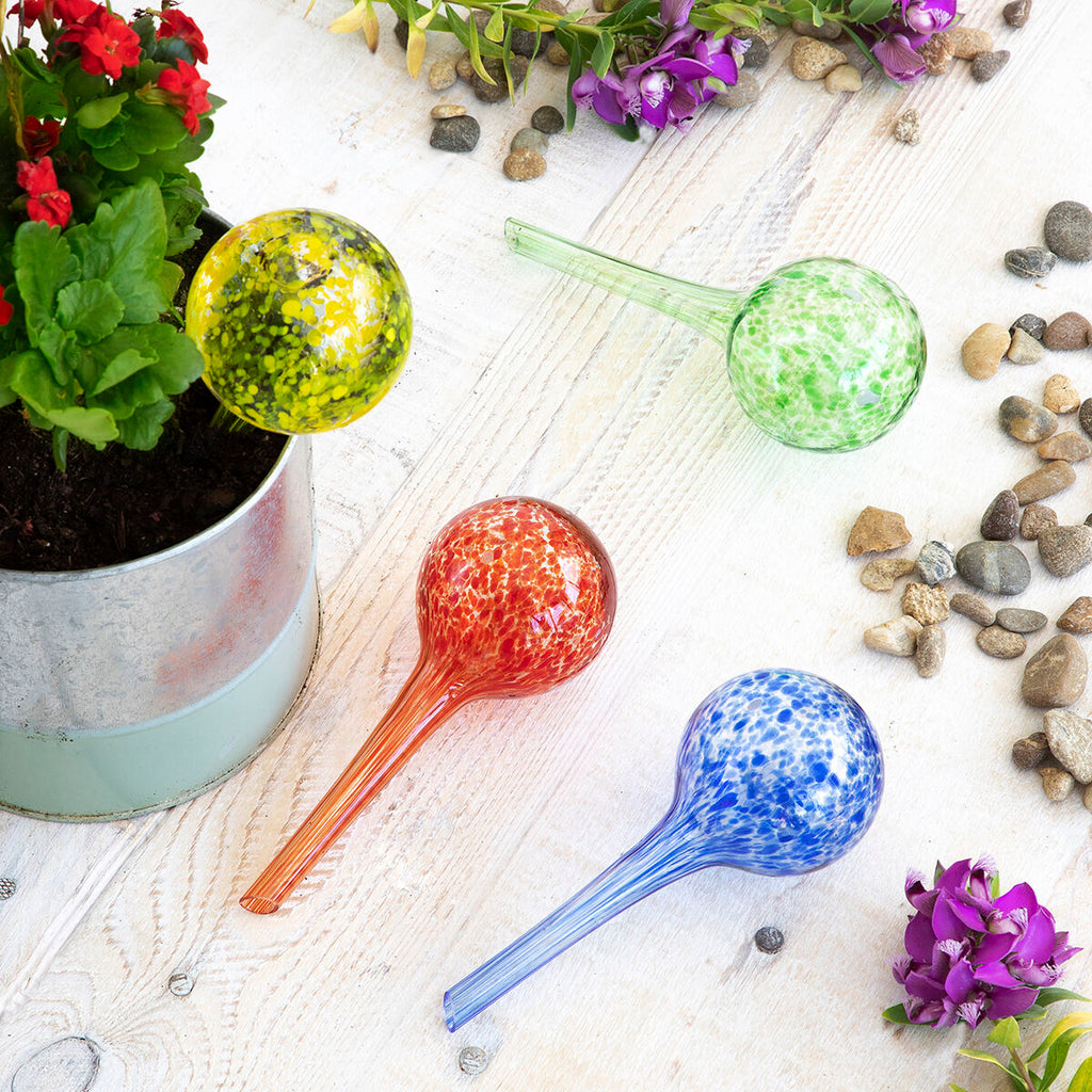 InnovaGoods Bewässerungsballons 4 Stück für Pflanzen