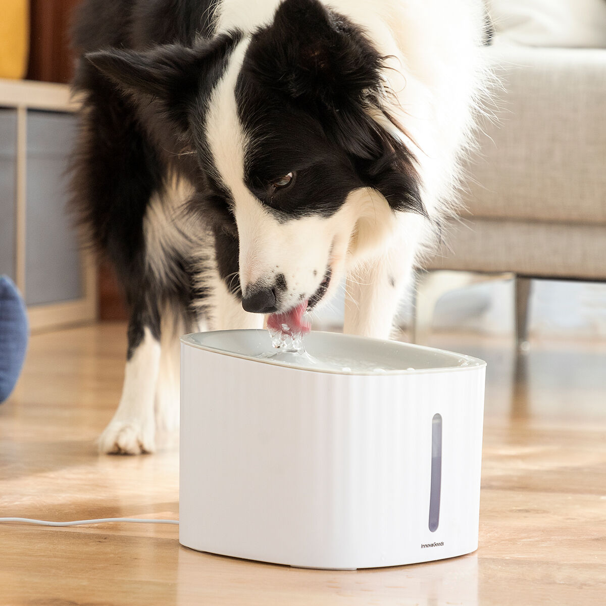 InnovaGoods Trinkbrunnen für Haustiere 3L leise