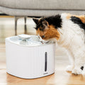 InnovaGoods Trinkbrunnen für Haustiere 3L leise
