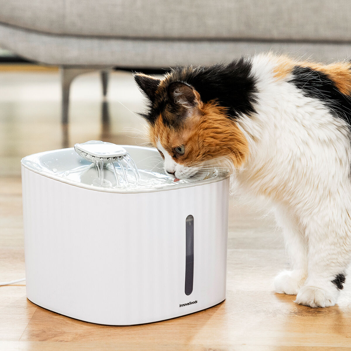 InnovaGoods Trinkbrunnen für Haustiere 3L leise