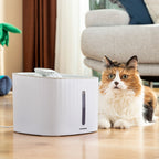 InnovaGoods Trinkbrunnen für Haustiere 3L leise