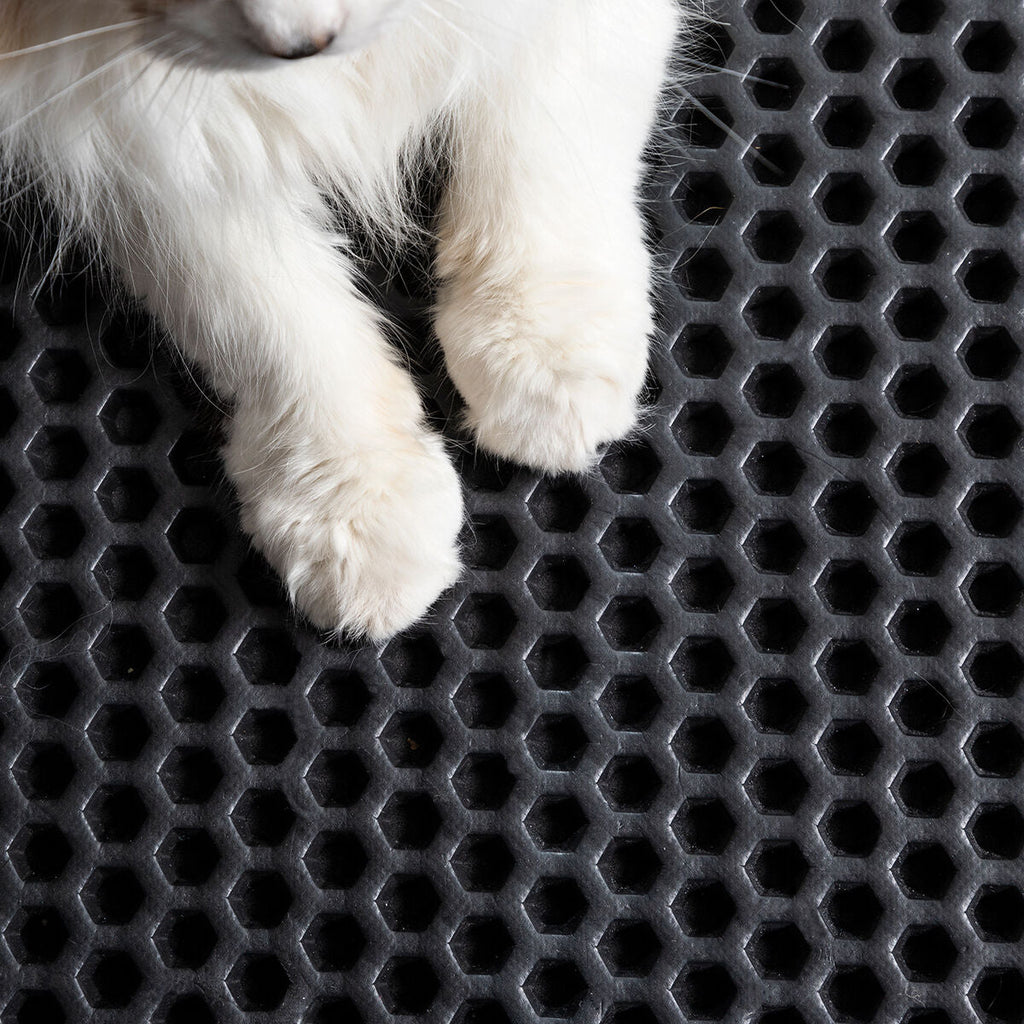 Katzenklo-Matte Clikatt – Sauberkeit für Ihr Zuhause