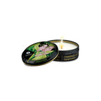Large Pleasure Kit Shunga