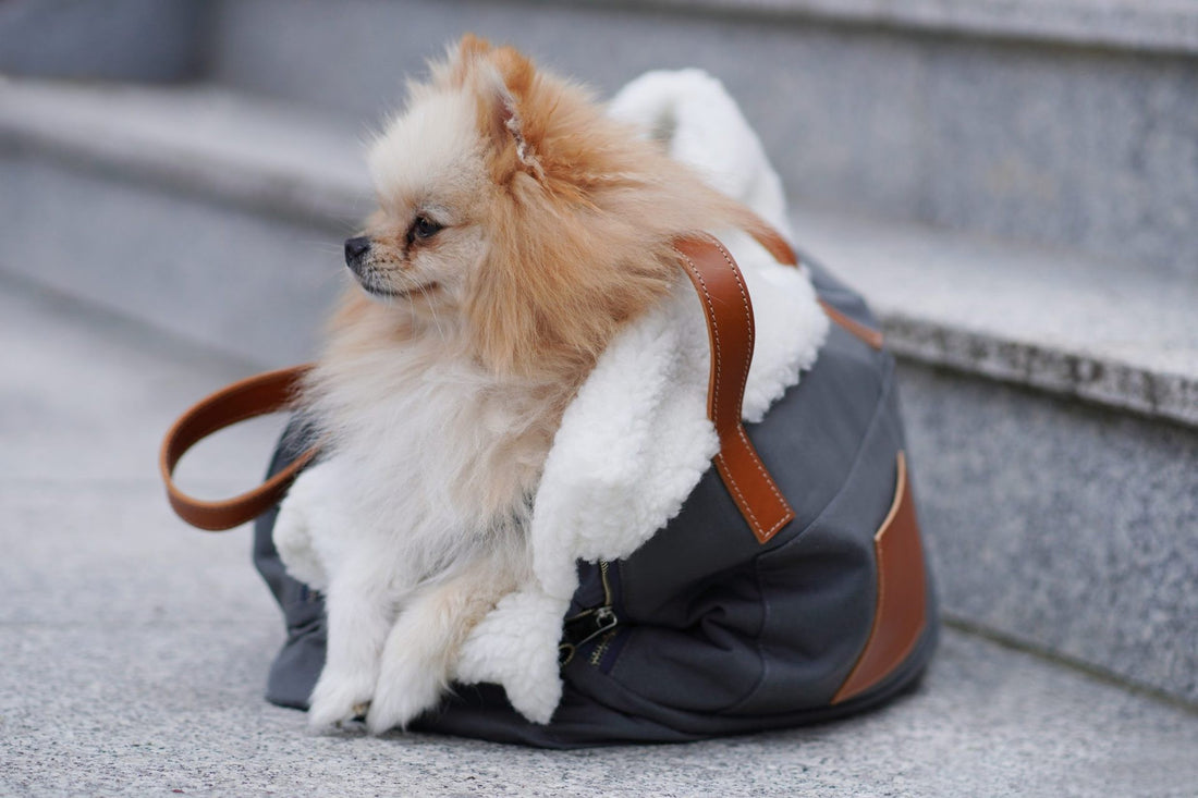 Liiva Hundetragetasche & Alltagstasche – Grau – Detailansicht 1