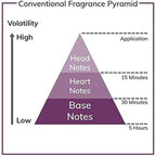 Herrenparfüm YSL La Nuit de L’Homme Le Parfum EDP 100 ml - Neuheiten