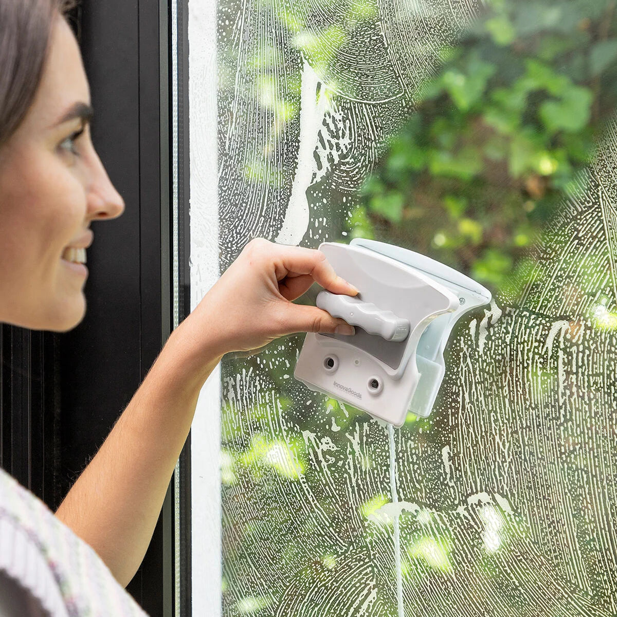 Fensterreiniger