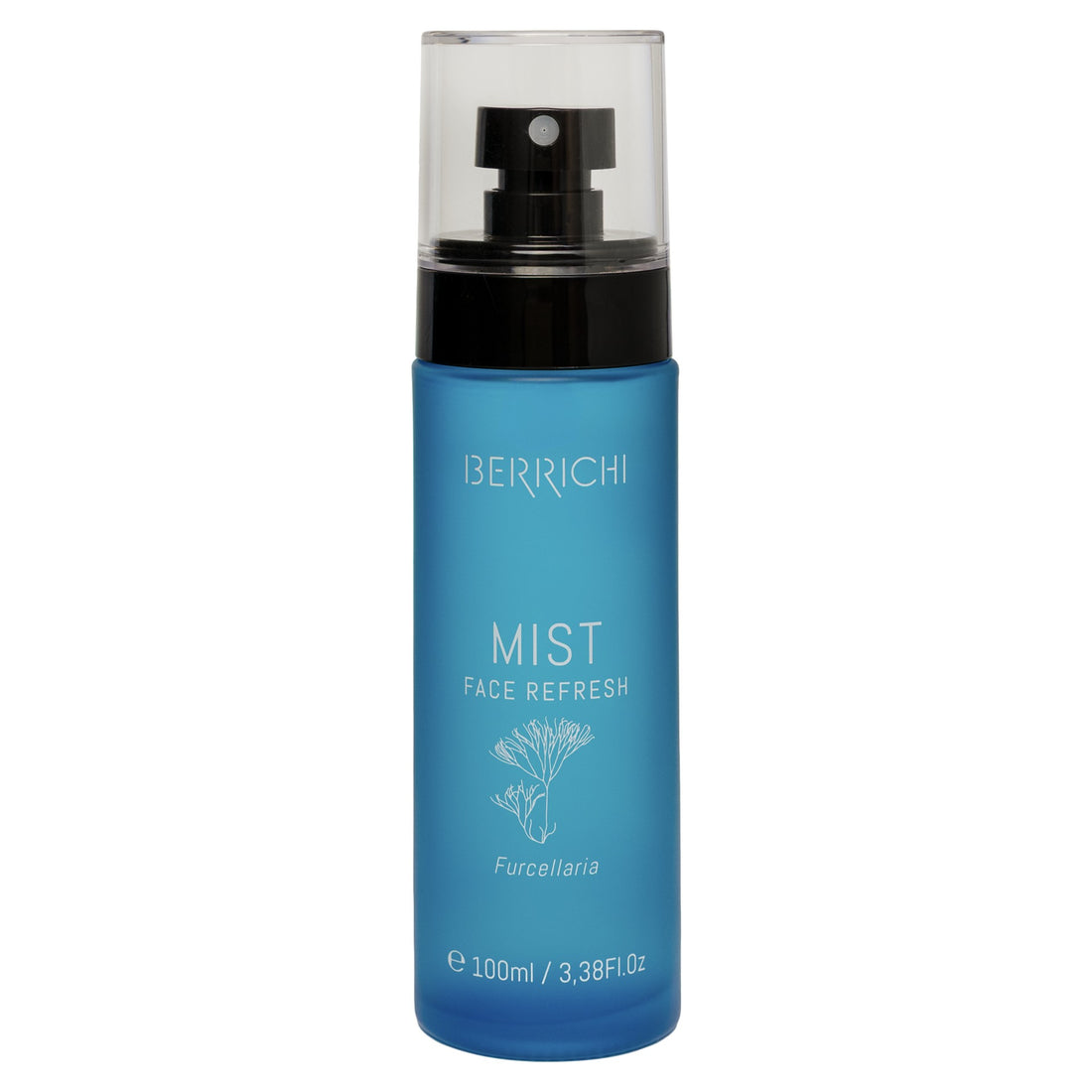 MIST Gesichtsspray, 100 ml – Detailansicht 3