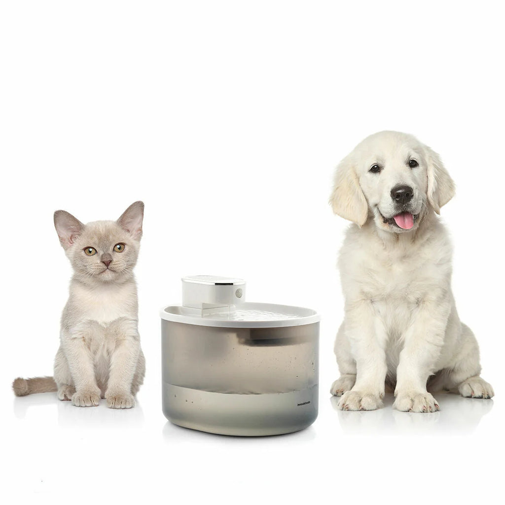 Refopet Katzen Trinkbrunnen Akku Sensor sauberes Wasser