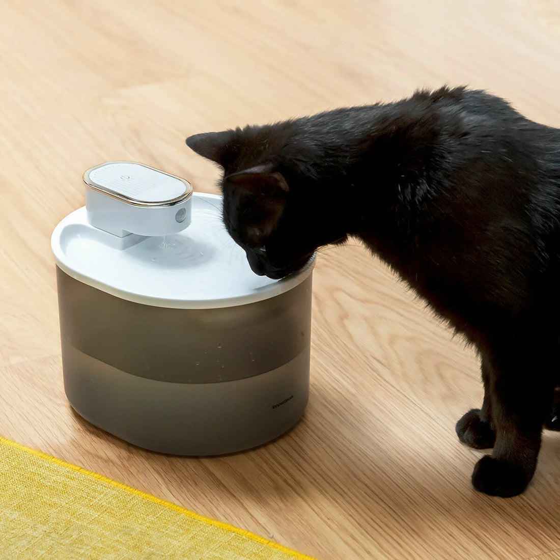Trinkbrunnen für Katzen mit Akku und Sensor Refopet – Detailansicht 2