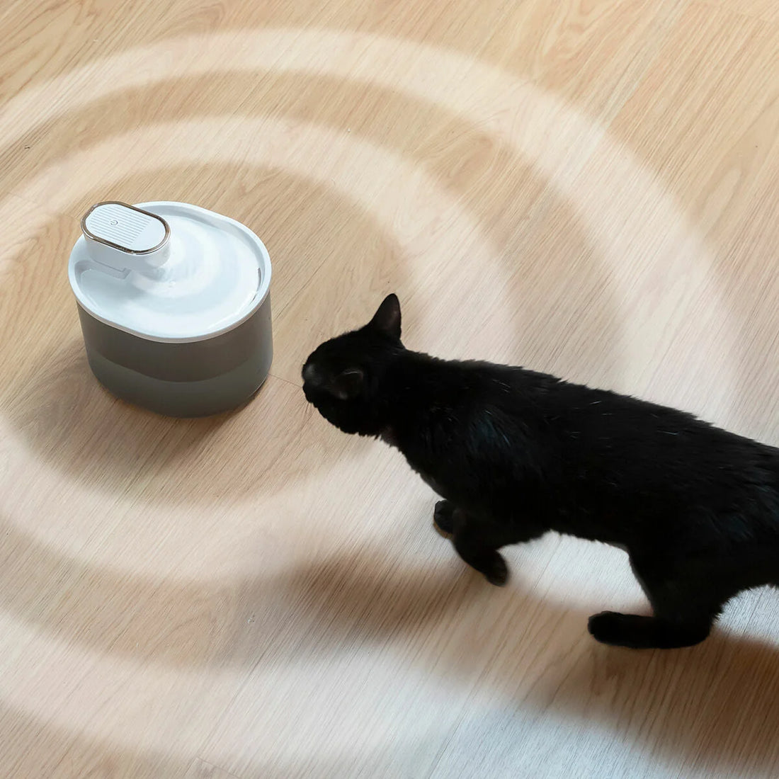 Trinkbrunnen für Katzen mit Akku und Sensor Refopet – Detailansicht 1