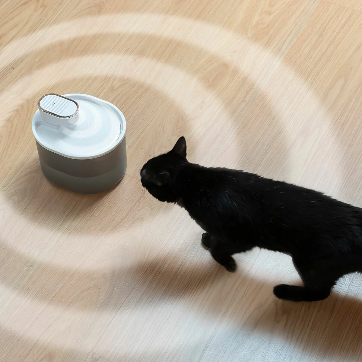Refopet Katzen Trinkbrunnen Akku Sensor sauberes Wasser