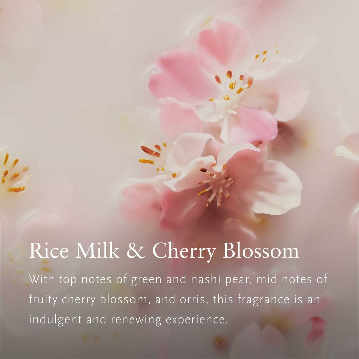 Rituals Lufterfrischer The Ritual Of Sakura 500 ml Unisex