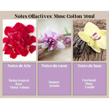 Ayat Perfumes Musk Cotton – Unisex Eau de Parfum Elegant - Neuheiten