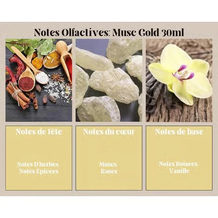 Ayat Perfumes Musk Gold 30 ml – Unisex Eau de Parfum - Neuheiten