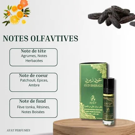 Ayat Perfumes Oud Emerald Öl 6 ml – Orientalisches Parfum - Neuheiten