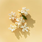 Elie Saab Parfum Lumiere EDP 90 ml Damenparfum - Neuheiten